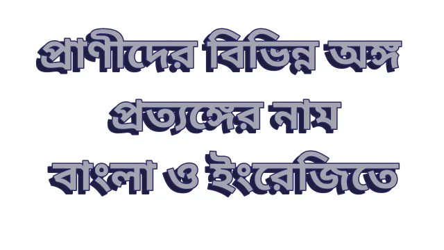 Animal Body Parts Name in Bengali