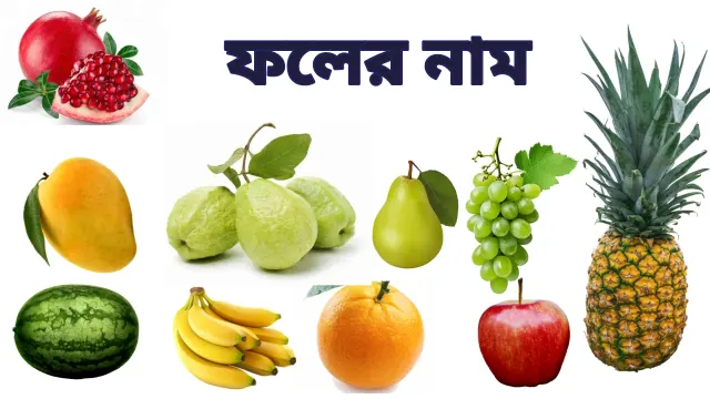 Fruits Name in Bengali and English