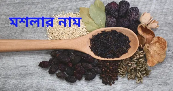 Spices Name in Bengali and English